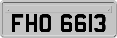 FHO6613