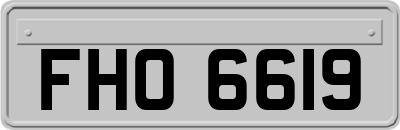 FHO6619