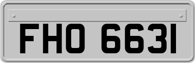 FHO6631
