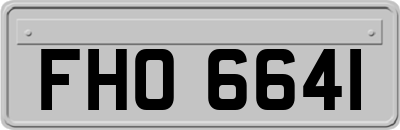 FHO6641