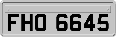 FHO6645