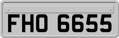 FHO6655