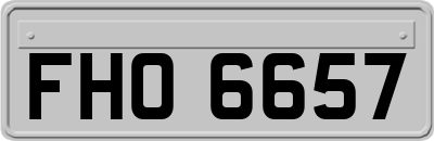FHO6657