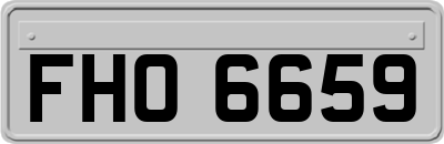 FHO6659