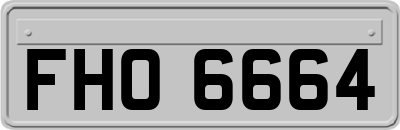 FHO6664