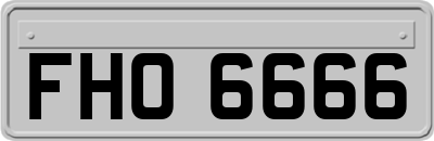 FHO6666