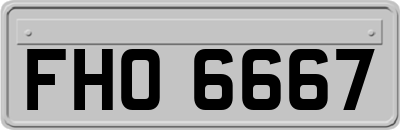 FHO6667