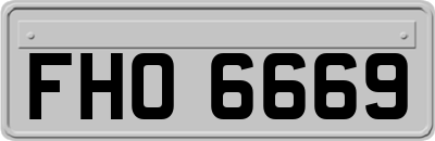 FHO6669
