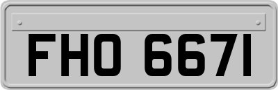 FHO6671