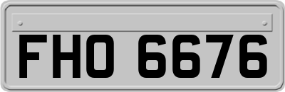 FHO6676
