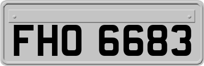 FHO6683