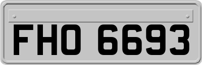 FHO6693