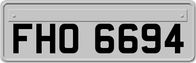 FHO6694