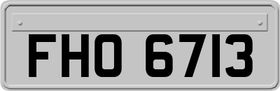 FHO6713