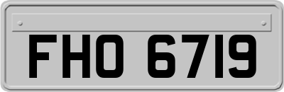 FHO6719
