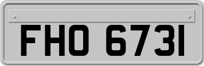 FHO6731