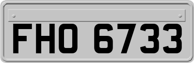 FHO6733