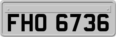 FHO6736