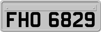 FHO6829