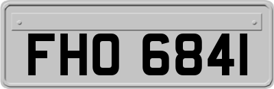 FHO6841