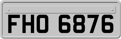 FHO6876