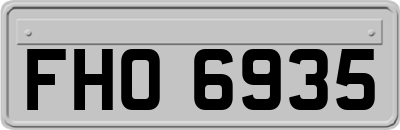 FHO6935