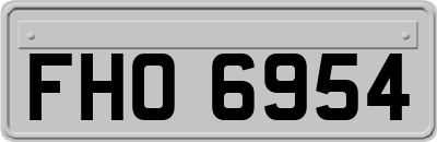 FHO6954