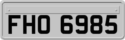 FHO6985