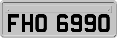 FHO6990