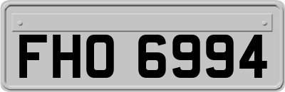FHO6994