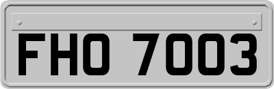 FHO7003