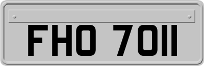 FHO7011