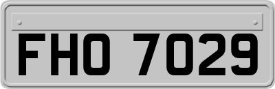 FHO7029
