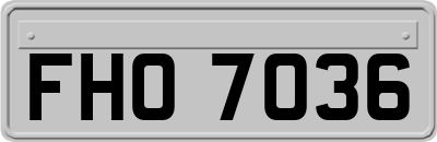FHO7036