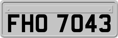 FHO7043