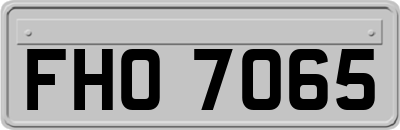 FHO7065