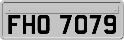 FHO7079