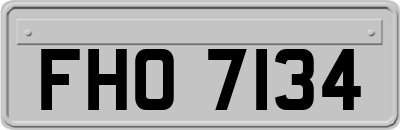 FHO7134