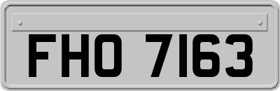 FHO7163
