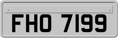 FHO7199