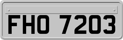 FHO7203