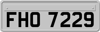 FHO7229