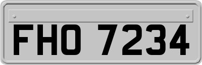 FHO7234