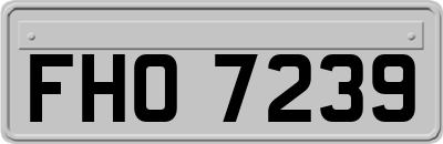 FHO7239