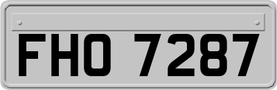 FHO7287
