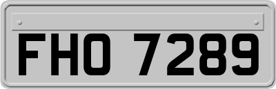FHO7289