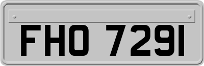 FHO7291