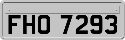 FHO7293