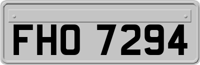 FHO7294