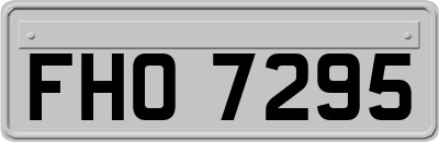 FHO7295